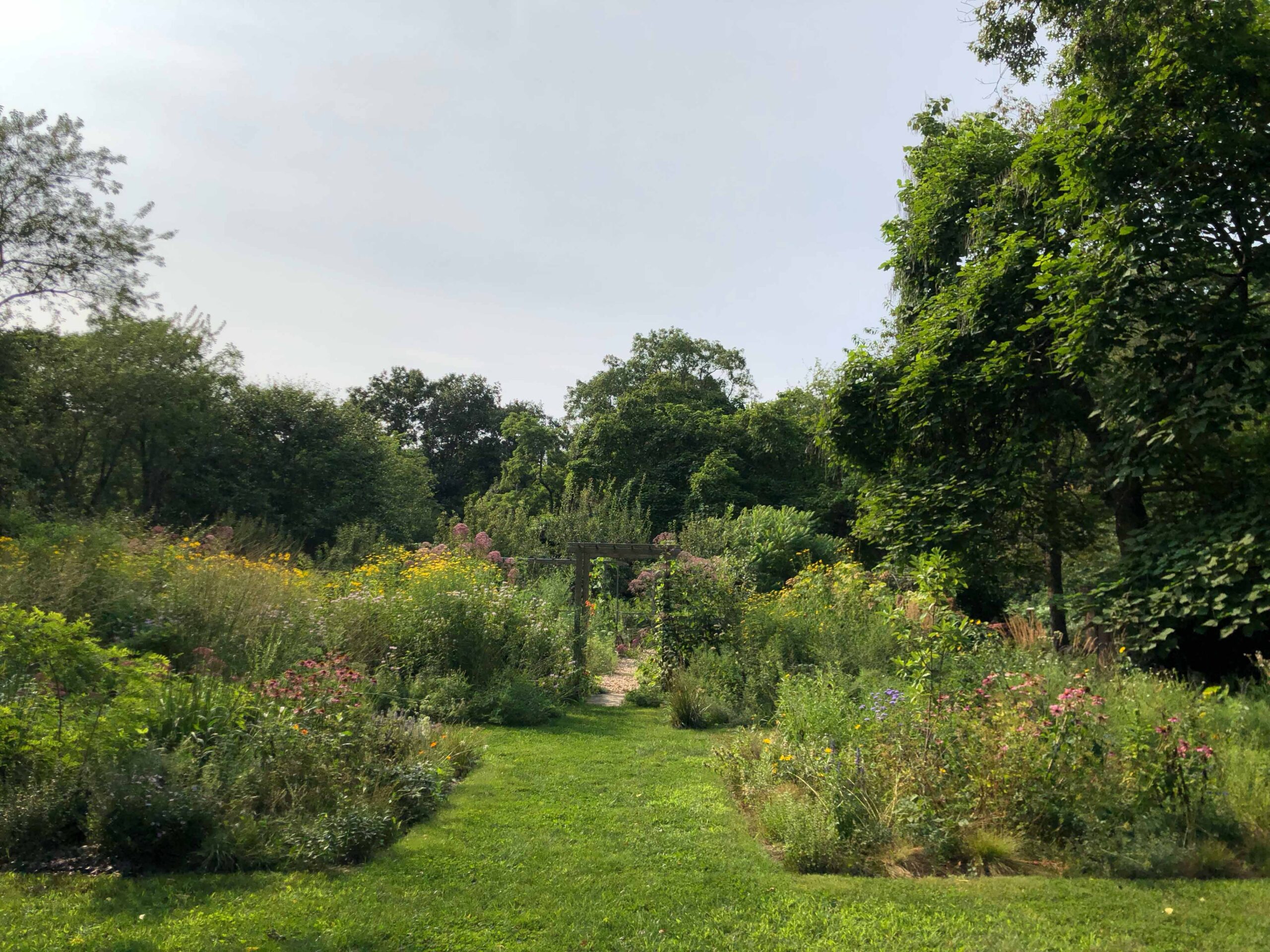 Edwina von Gal's Toxic-free garden