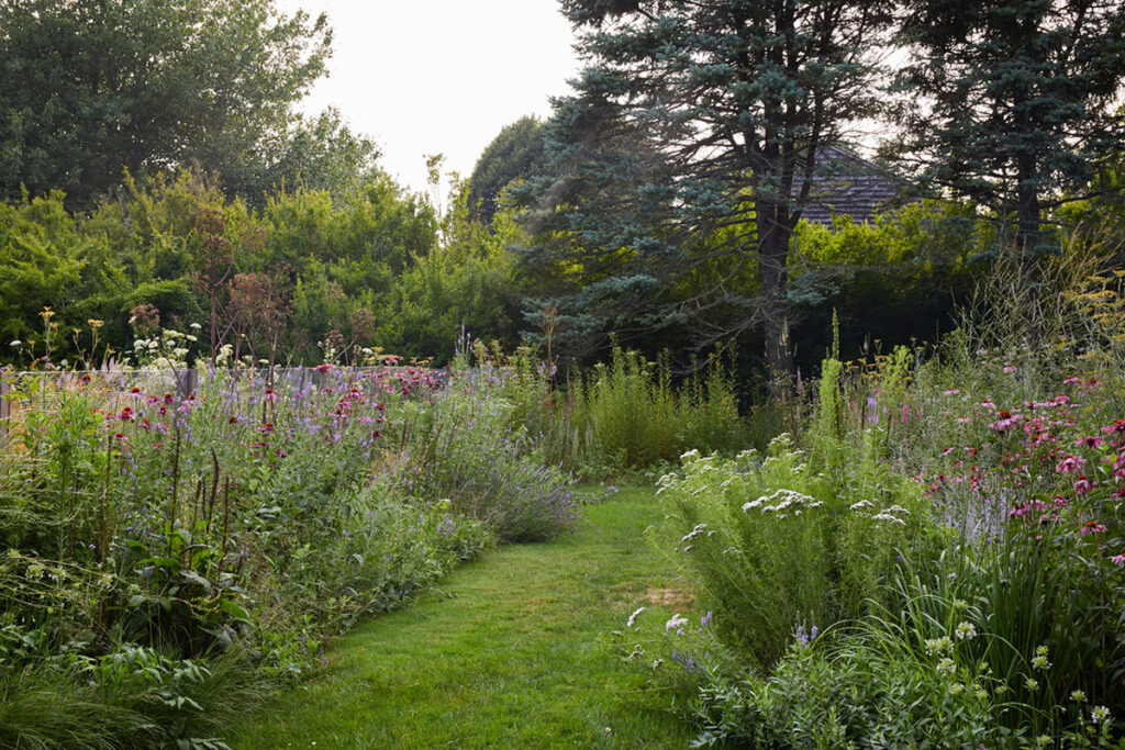 Border in Eastern Long Island by Abby Lawless of Farm Design is planted with echinacea, mountain mint, and verbena.