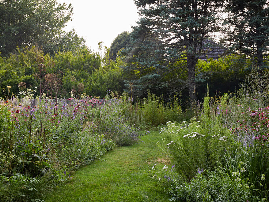 Border in Eastern Long Island by Abby Lawless of Farm Design is planted with echinacea, mountain mint, and verbena.