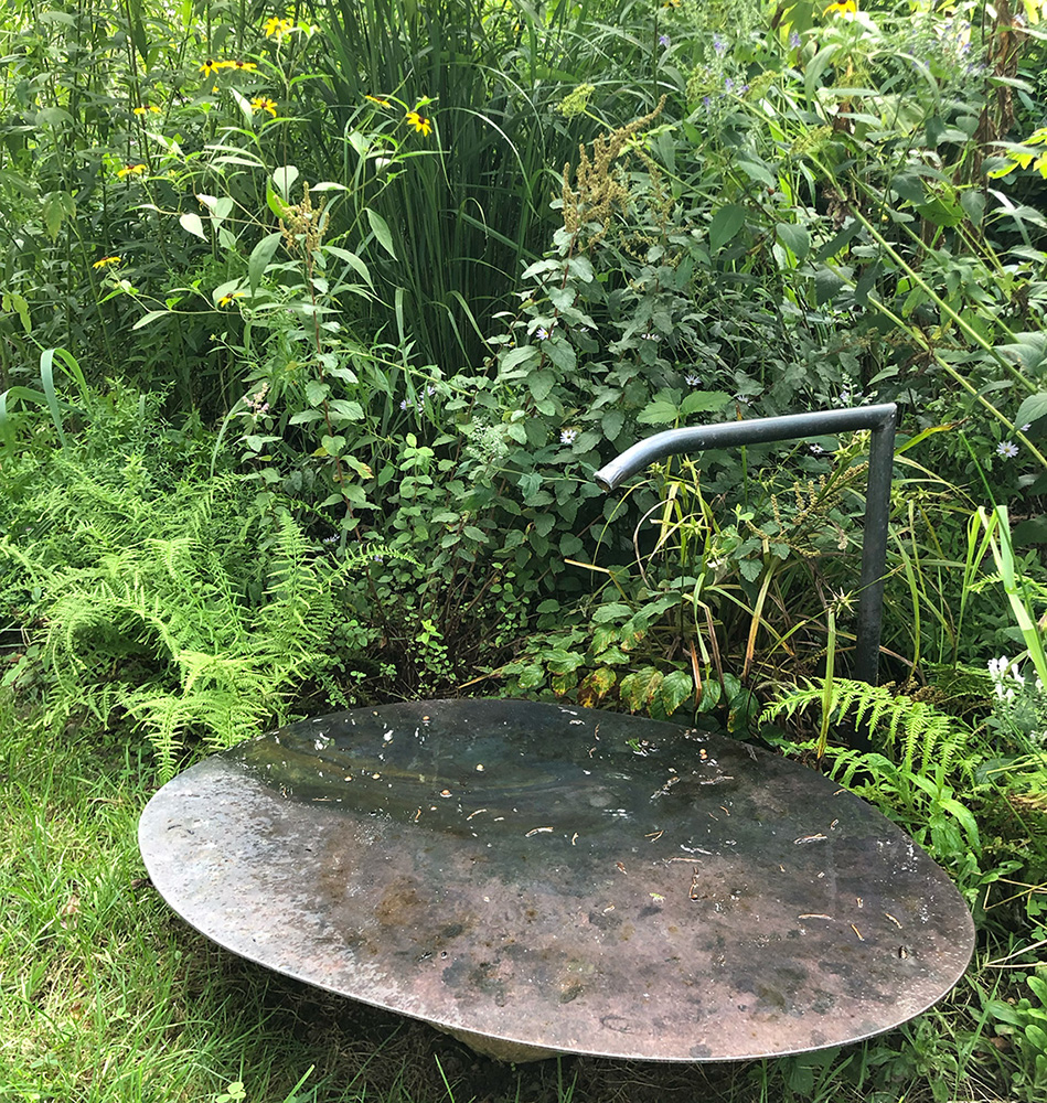 Maya Lin designed this "bee beach," a dark, shallow basin with a slow, overhead drip of water, at Edwina von Gal's garden. It's nestled among water-loving plants like ferns.
