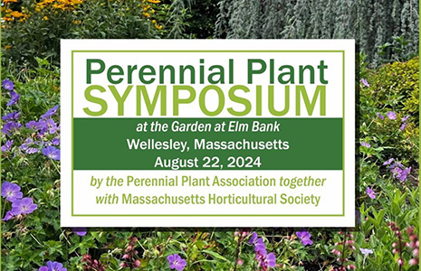 Poster for Perennial Plant Symposium on August 22, 2024