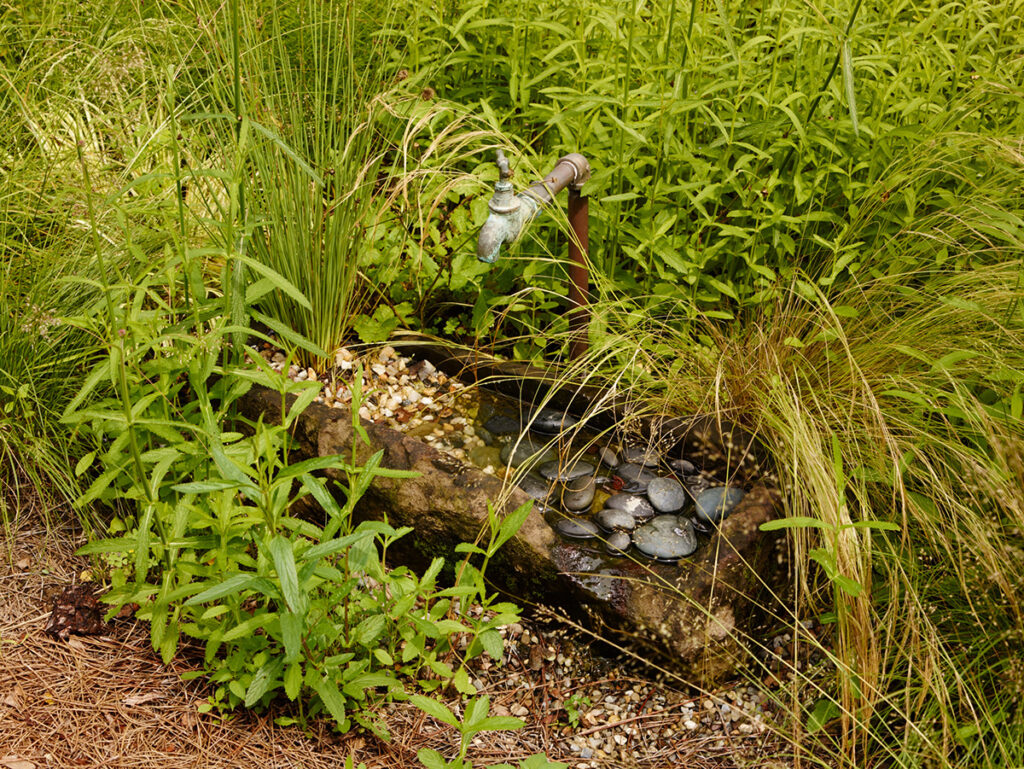 Edwina von Gal provides water for bees to drink. She filled a rock basin with large pebbles, surrounded by plants.