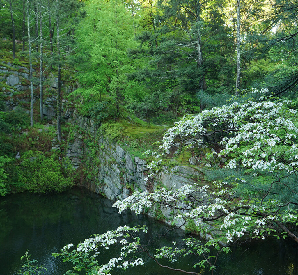 A view of the quarry pond at Manitoga.