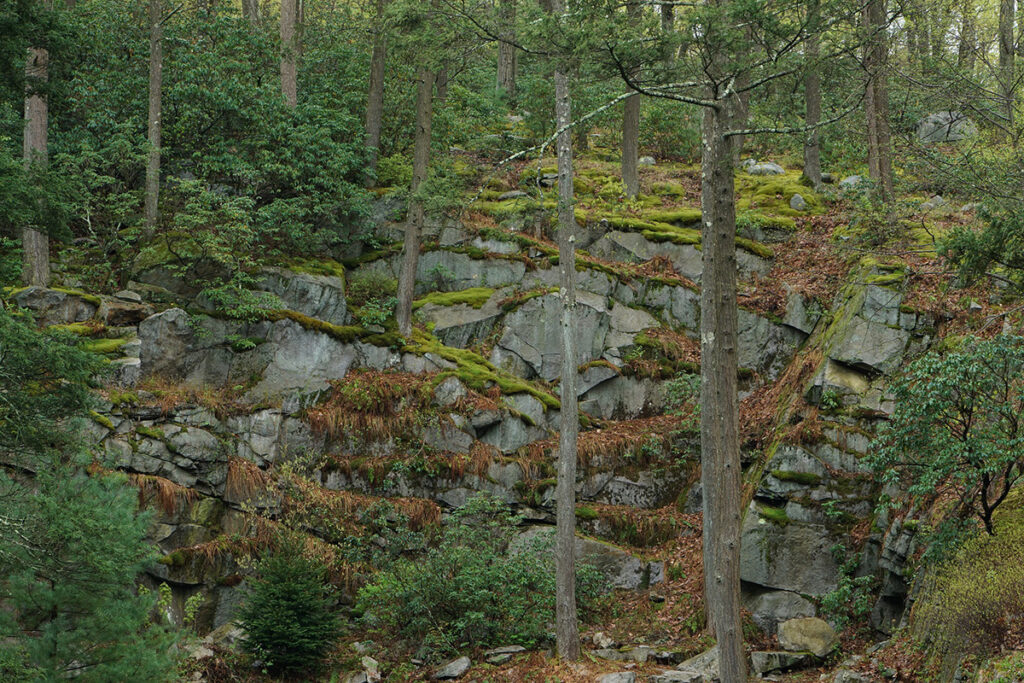 The quarry rock wall at Manitoga.