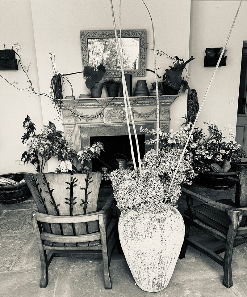 Black and white photo of the porch at Chanticleer garden with dried hydrangea in an urn.