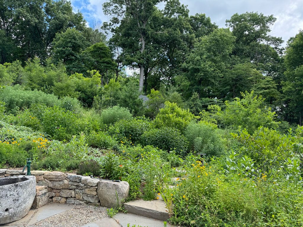 Solar panels are hidden by strategic plantings along the ridge.