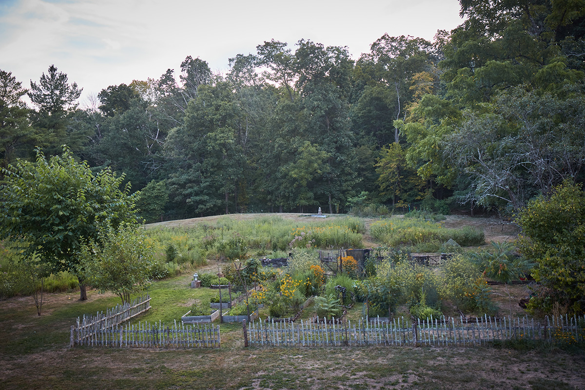 Tama Matsuoka Wong's vegetable garden with native plant meadow in the distance. Photo by Ngoc Minh Ngo.