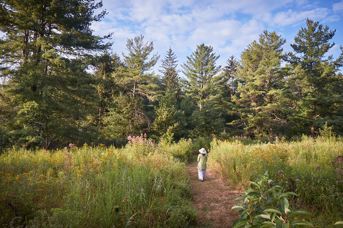 Tama Matsuoka Wong walks through a meadow of native plants. Photo by Ngoc Minh Ngo.