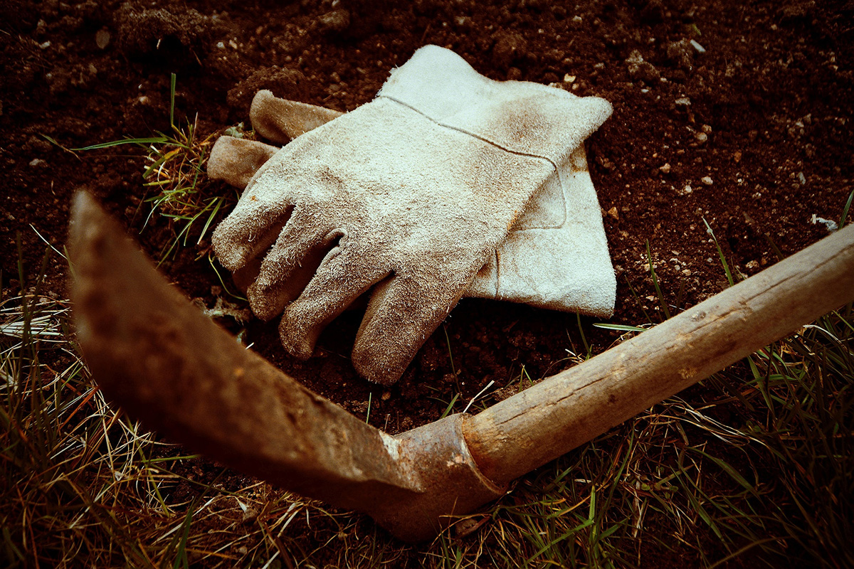 Image of soil, white leather garden gloves, and a pick axe