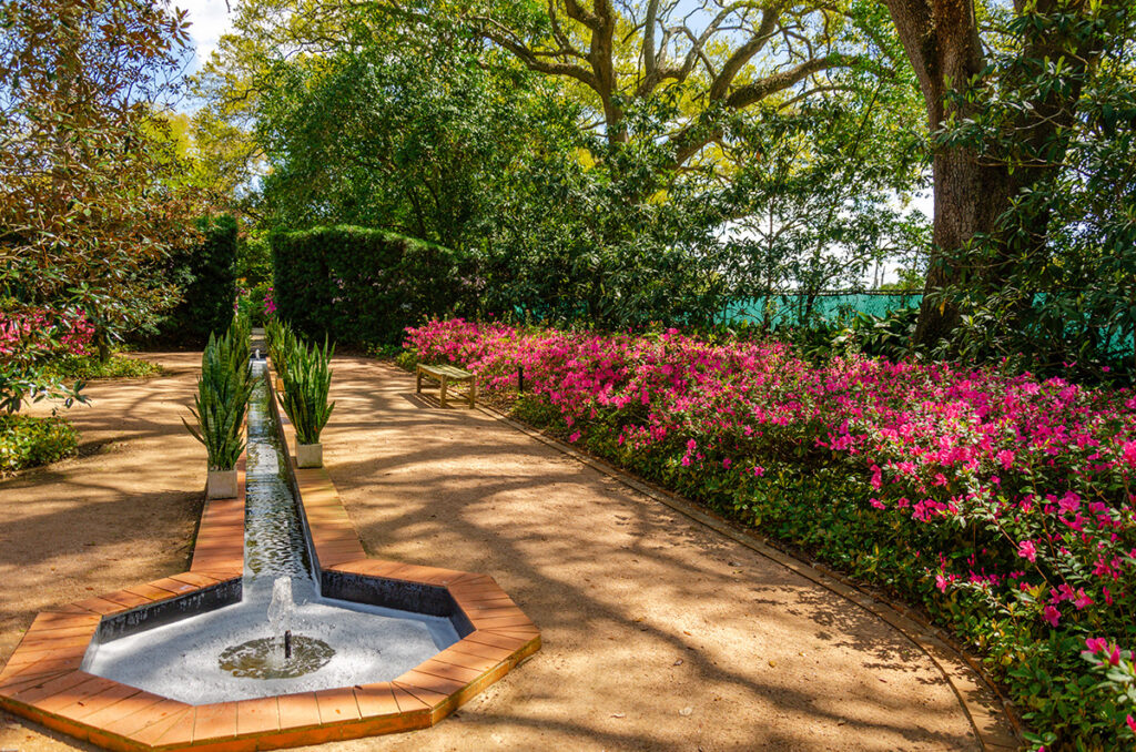 Hot pink azaleas line one side of the Canal Garden in Longue Vue in New Orleans.