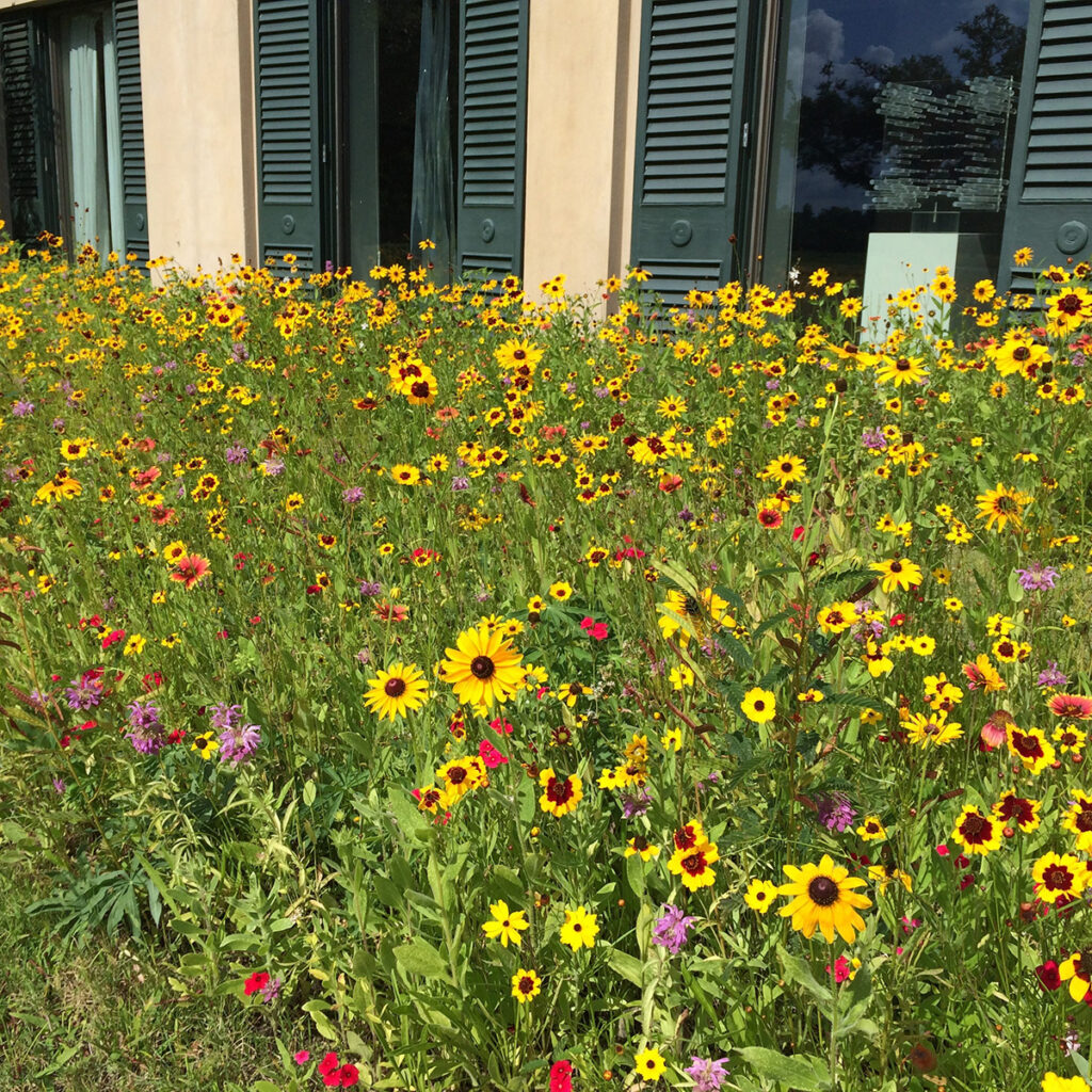 The colorful pollinator garden at Longue Vue in New Orleans.