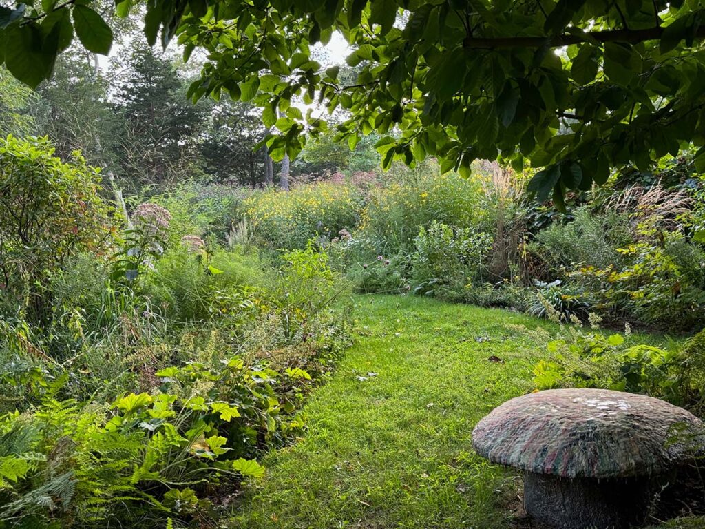 A nature-based garden with flowers and a path.