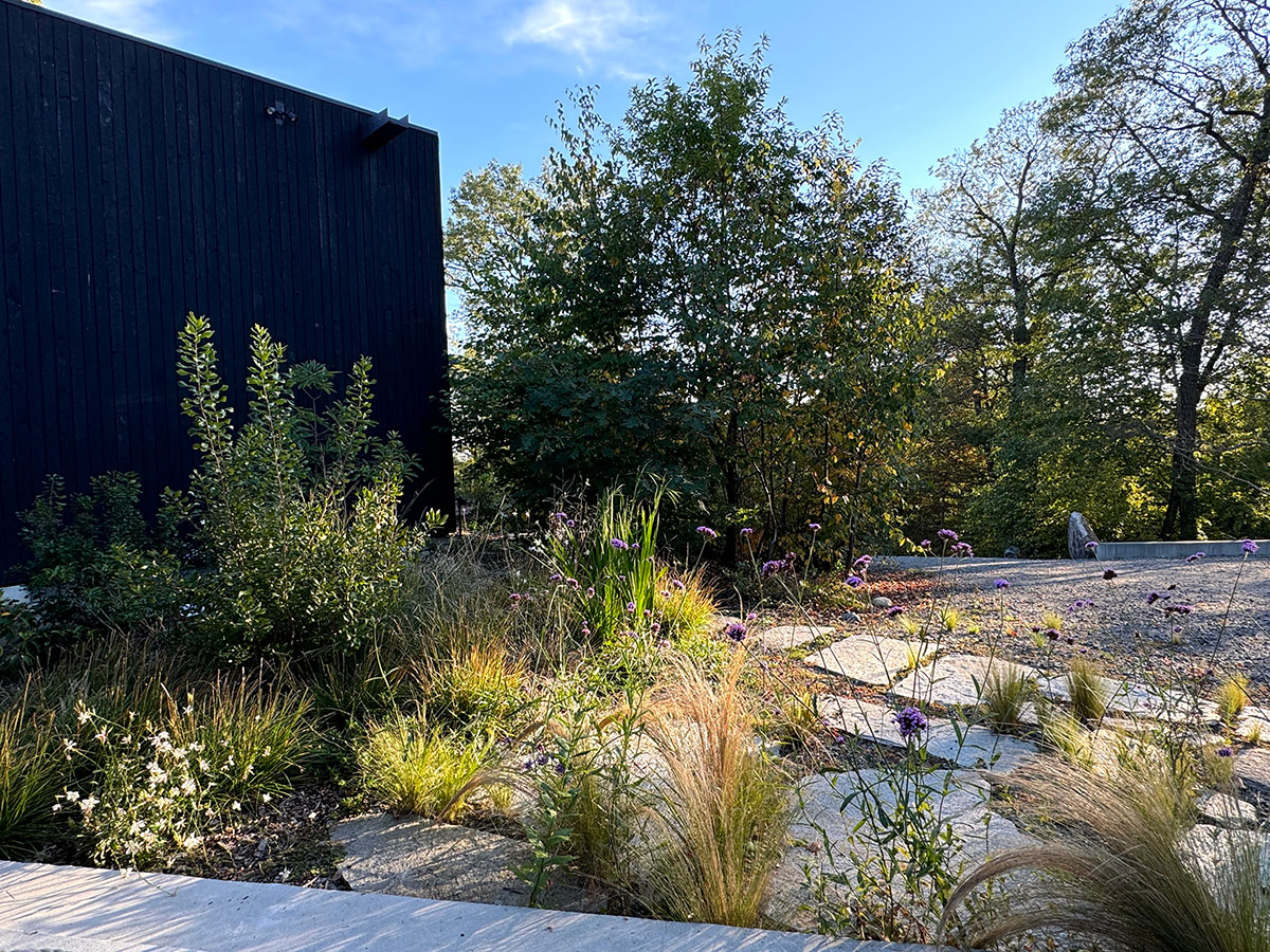 An entryway garden with a pine tar house and gravel driveway.