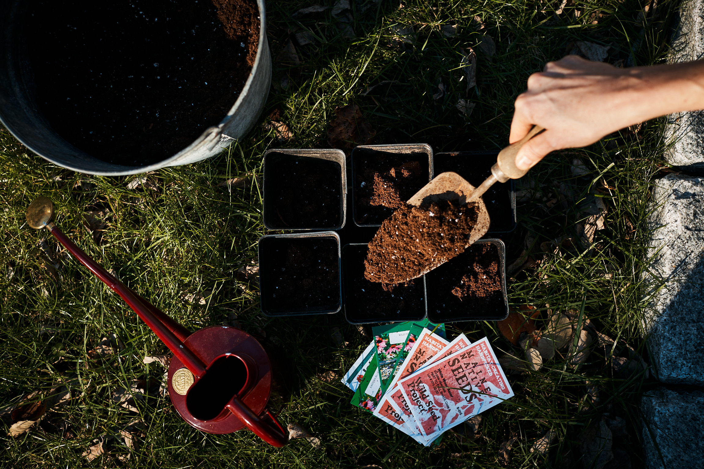 A New Year’s Tradition for Nature-Based Gardeners: Sowing Native Seeds