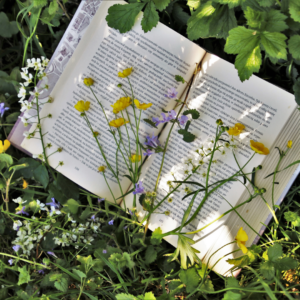 An open book covered in flowers.