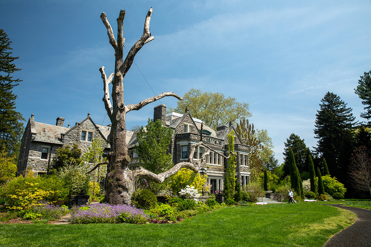 A Tree Sculpture at Stoneleigh