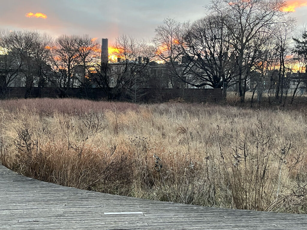 The Naval Cemetery Landscape meadow in winter with the Naval Hospital in the distance through the bare trees.