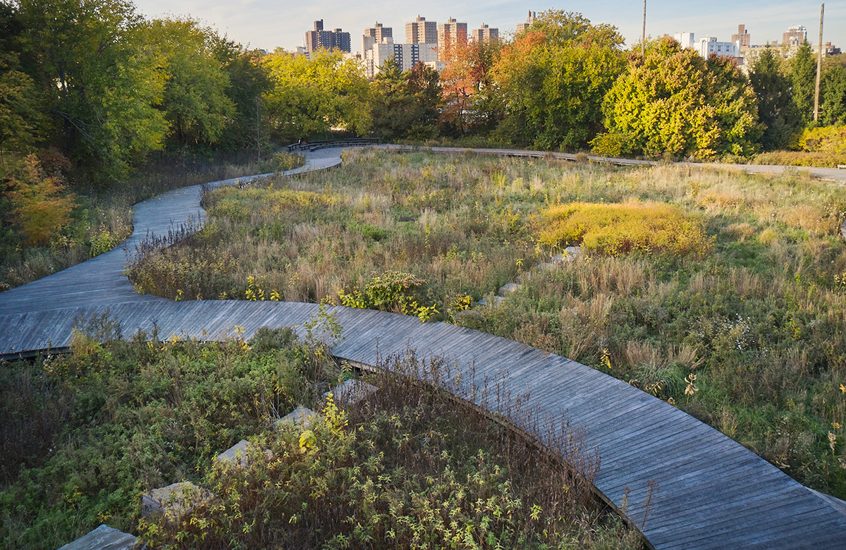 The Naval Cemetery Landscape meadow in fall with the boardwalk running through it.