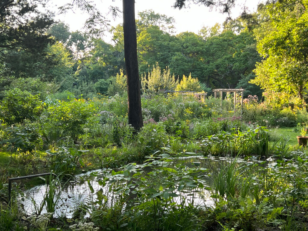 Small pond surrounded by greenery and flowers in the distance in summer.