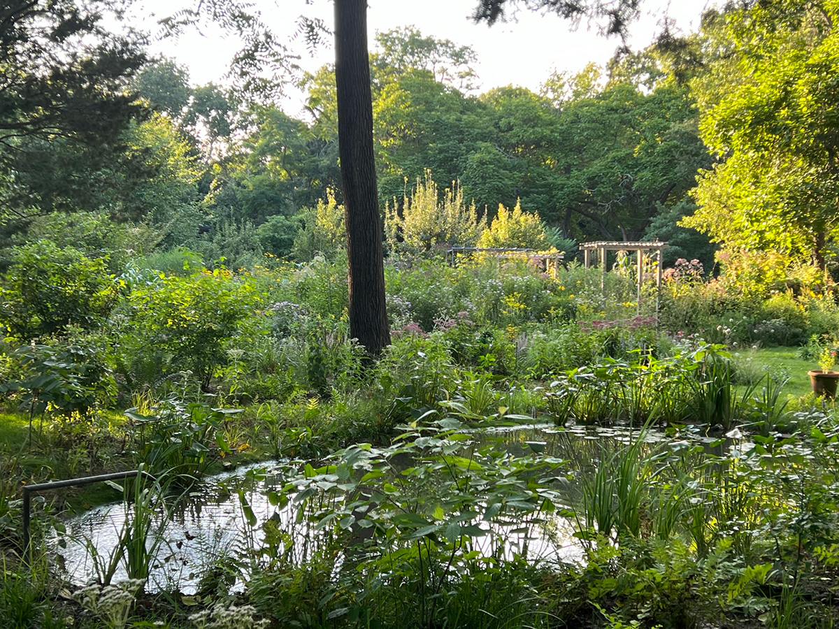 Small pond surrounded by greenery and flowers in the distance in summer.