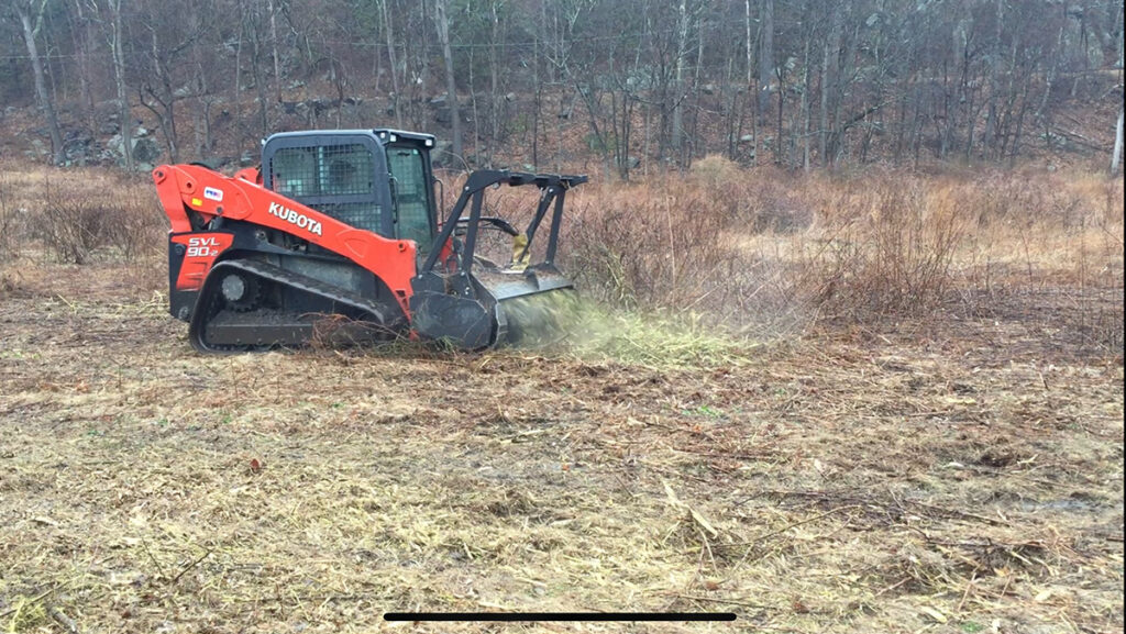 Using a rotating cylinder with steel teeth, a forestry mulcher easily removes woody invasive plants.