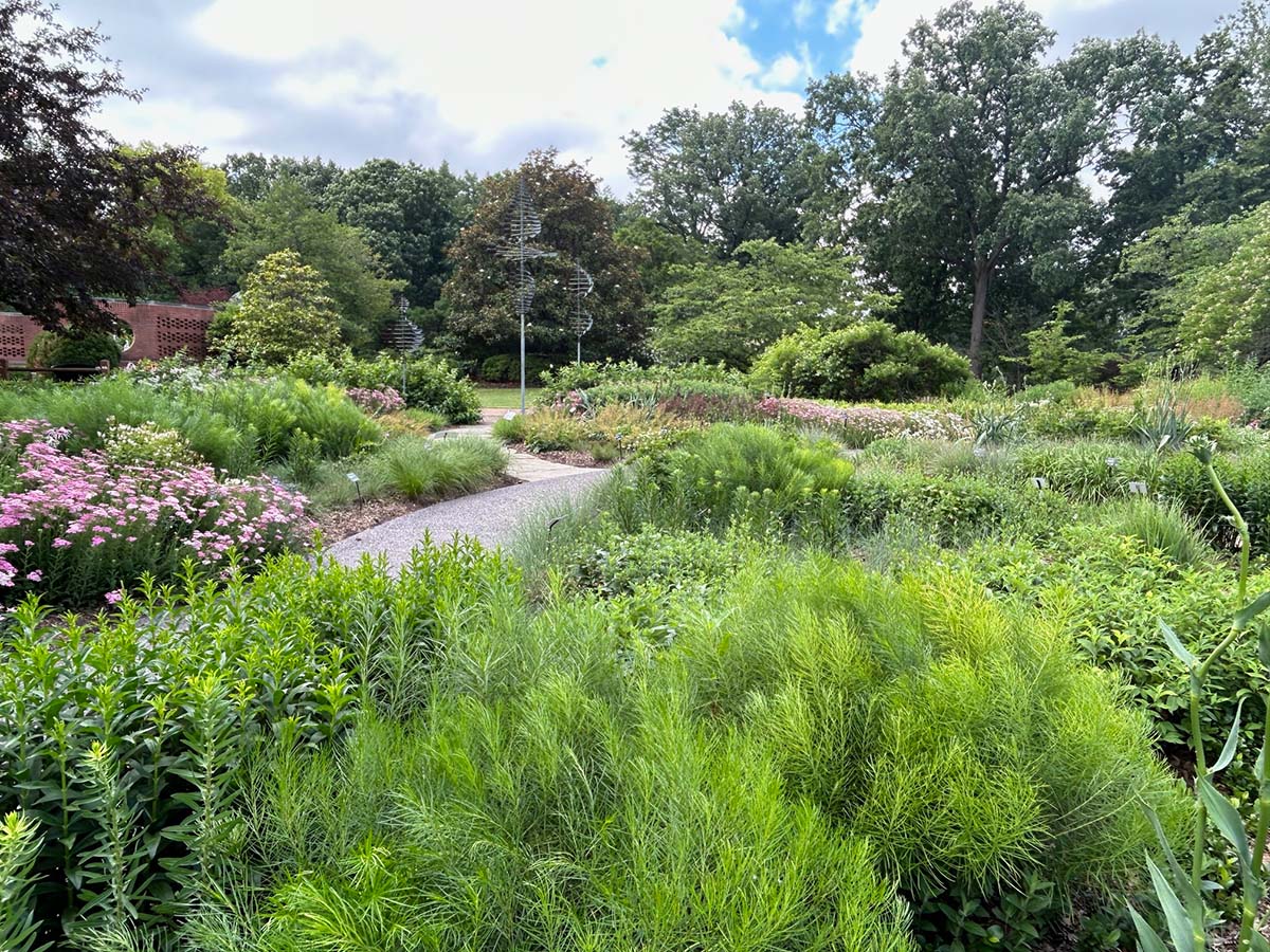 Ask the Expert: Missouri Botanical Garden’s Daria McKelvey