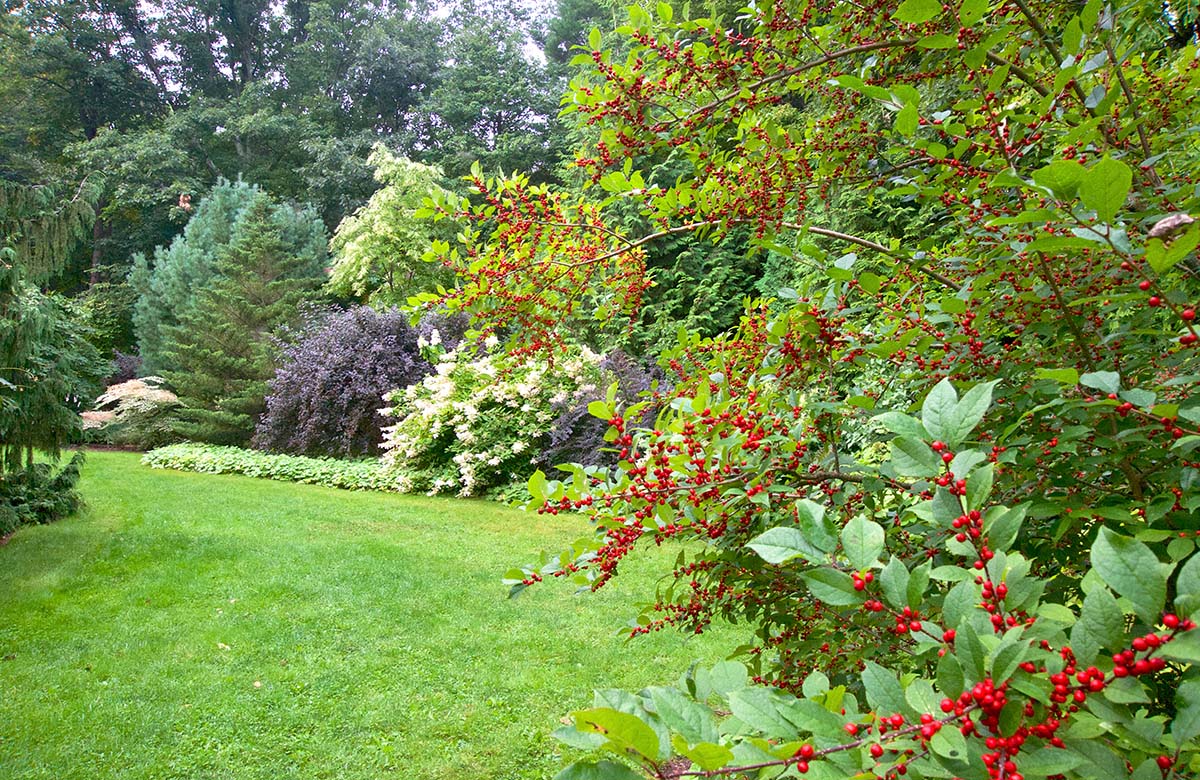 Let’s Rethink What a Hedge Can Be