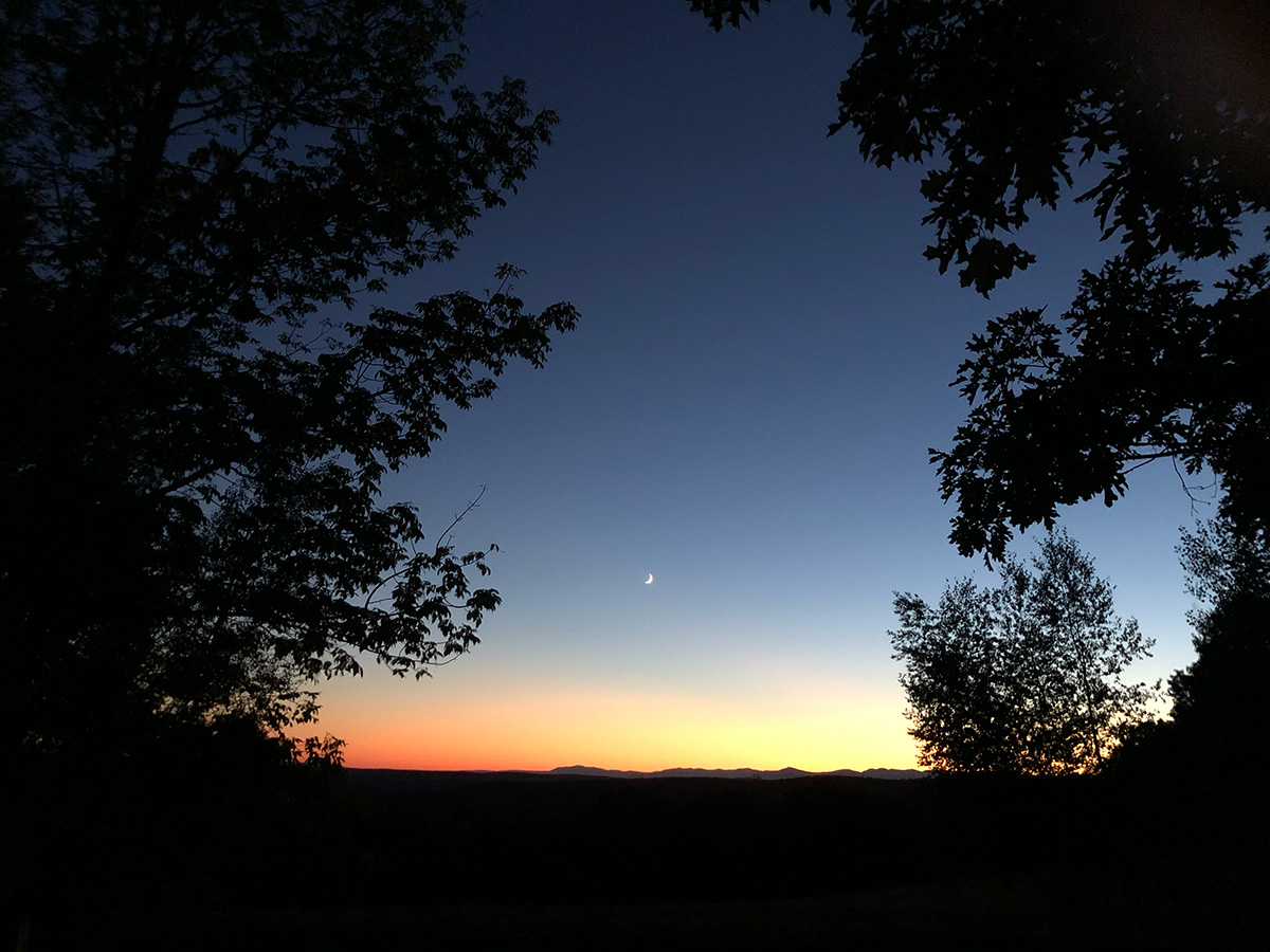 Twilight with silhouetted trees and a sliver of moon.