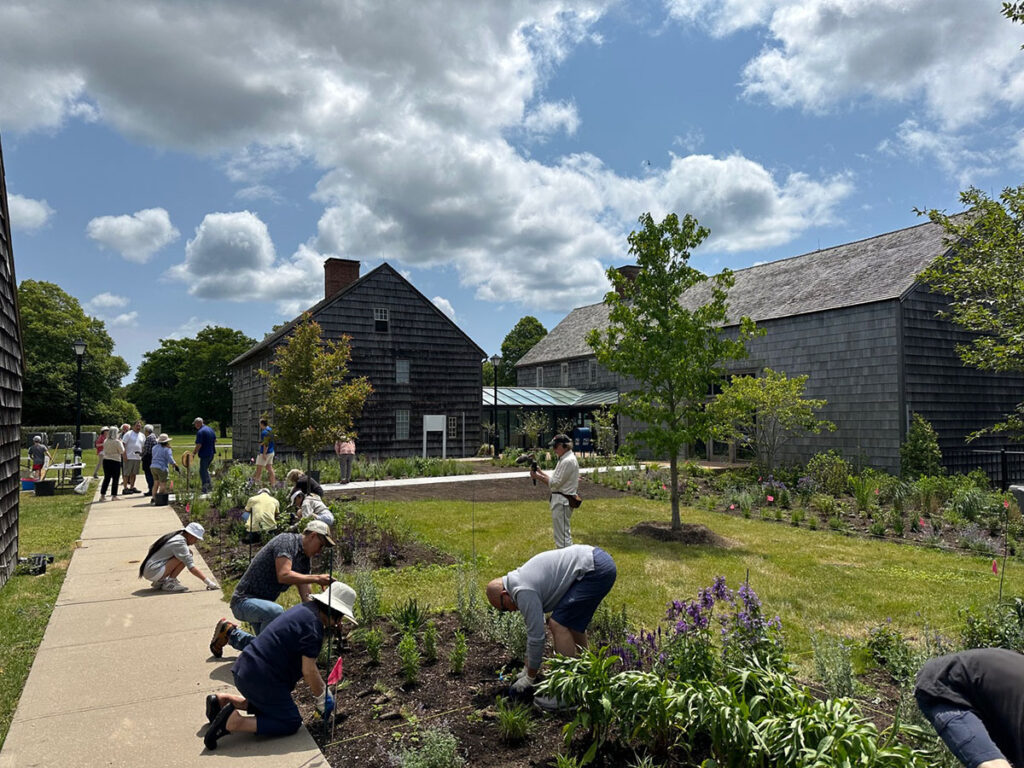 Volunteers plant the ChangeHamtpon East Hampton pollinator garden at the East Hampton town hall.