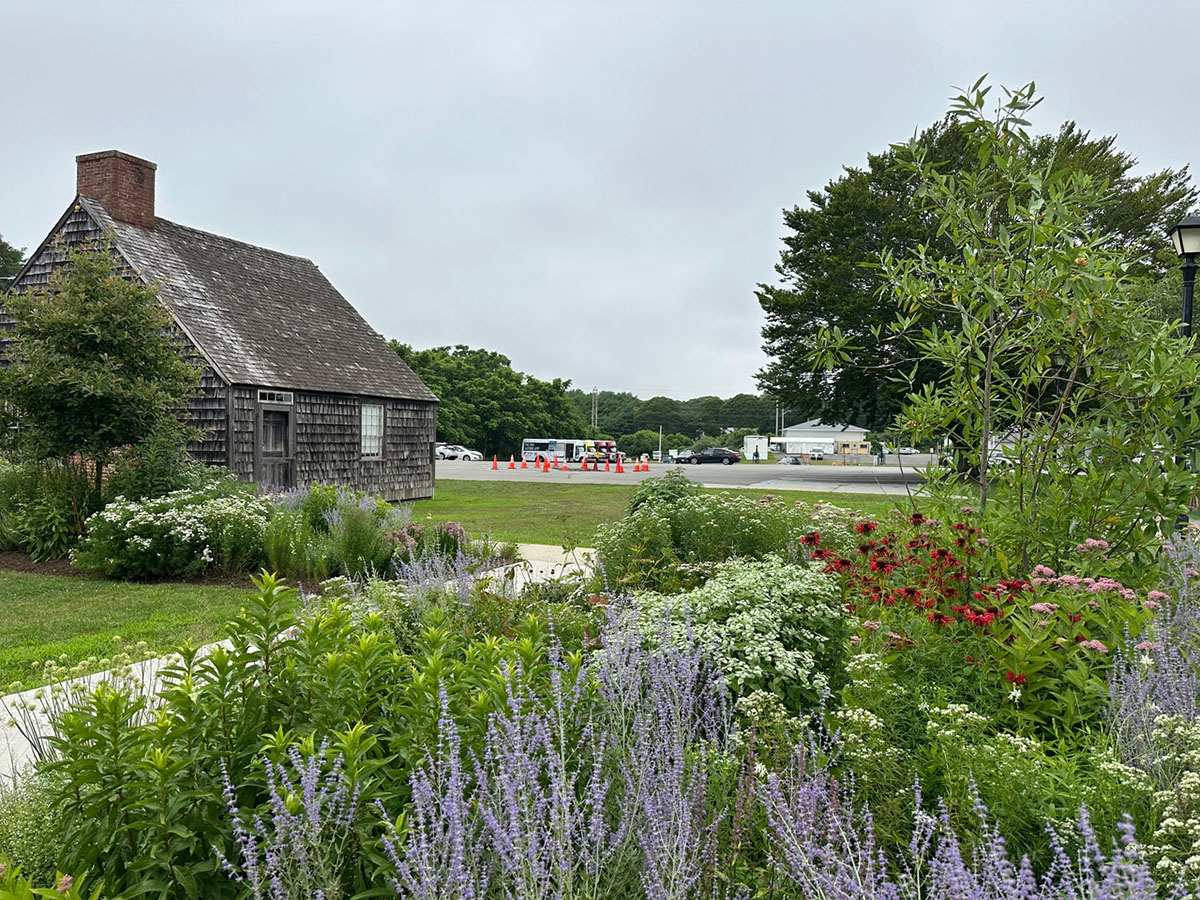 The East Hampton pollinator garden features at least 80% native plants including monarda, milkweed, and mountain mint.