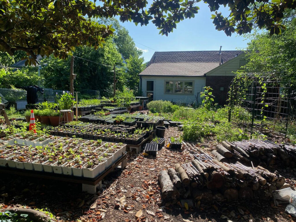 All Tomorrow's Prairies Nursery with potted seedlings and stacks of wood