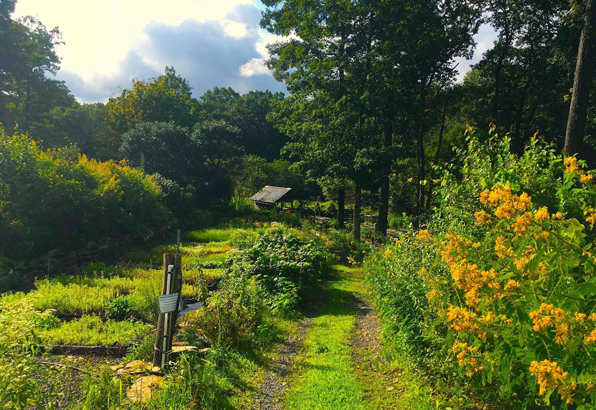 A Growing Business: Hyper Local Native Plant Nurseries - PerfectEarth