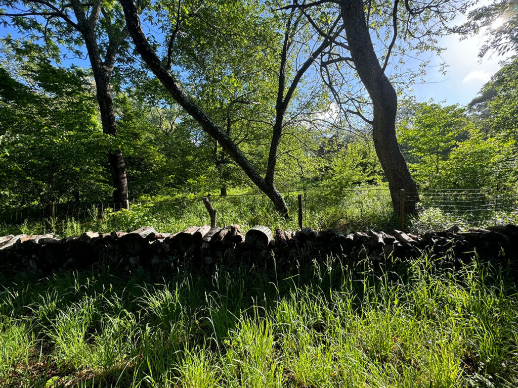 Log wall made from fallen trees.