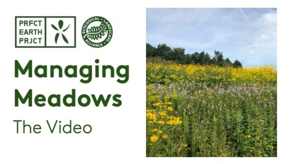 managing meadows video slide