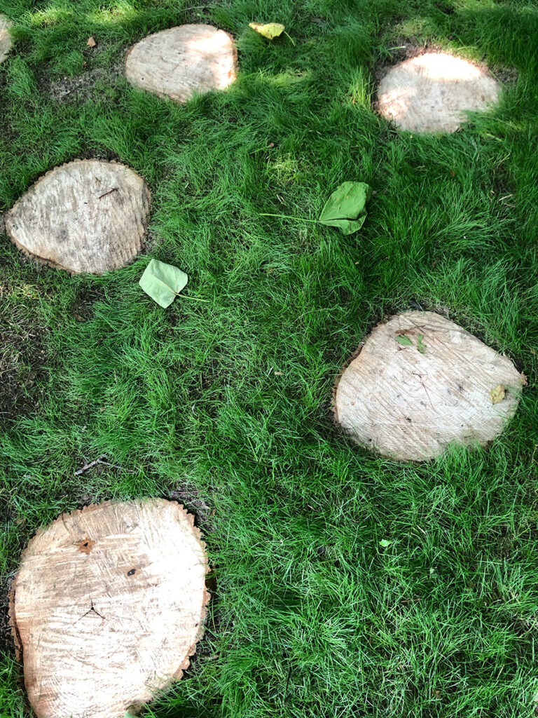 "Tree cookie" path, surrounded by grass, made from slices of a fallen tree.