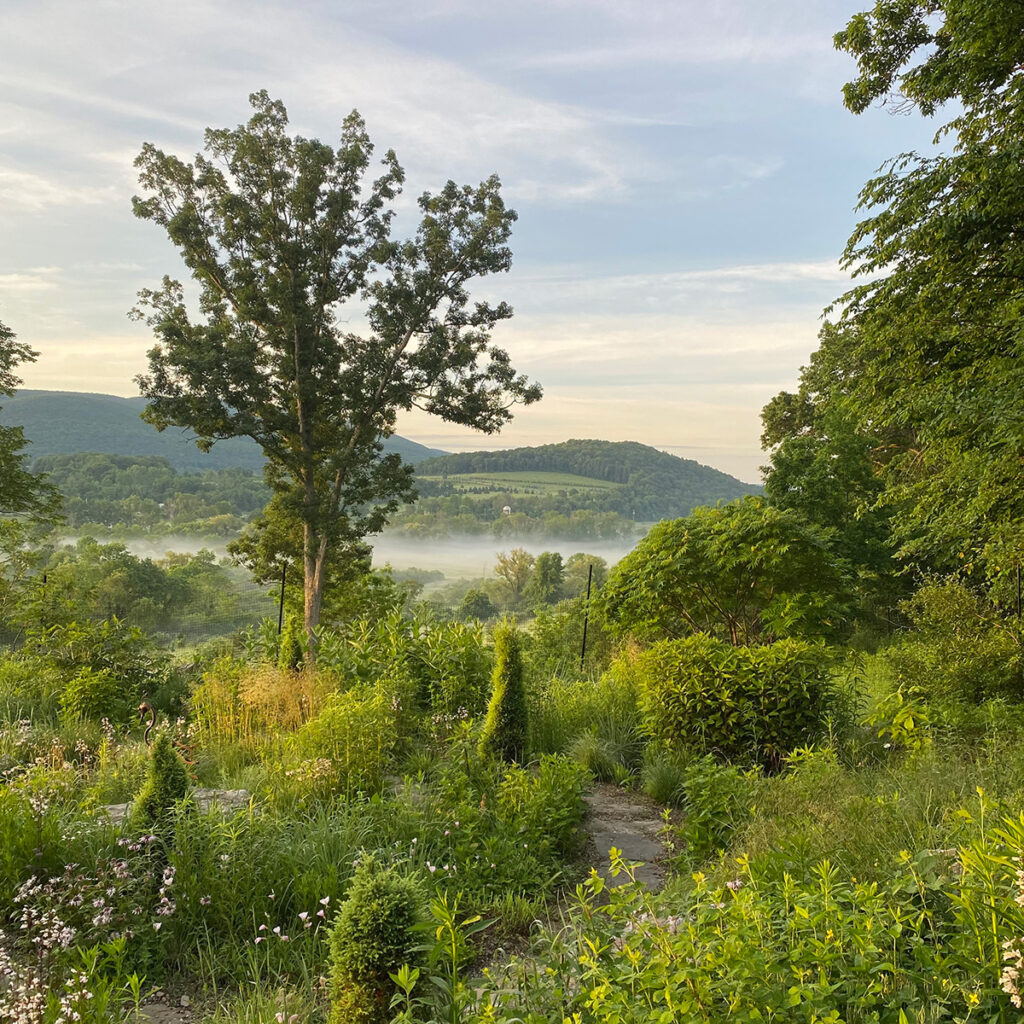 The repetition of the evergreen cones along the heavily planted spiral allow the eye moments of rest.