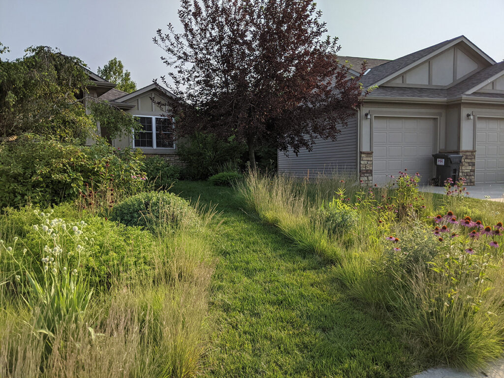 Benjamin Vogt mows a wide path of turf in the front yard of this suburban Nebraska garden filled with lush, prairie plants.