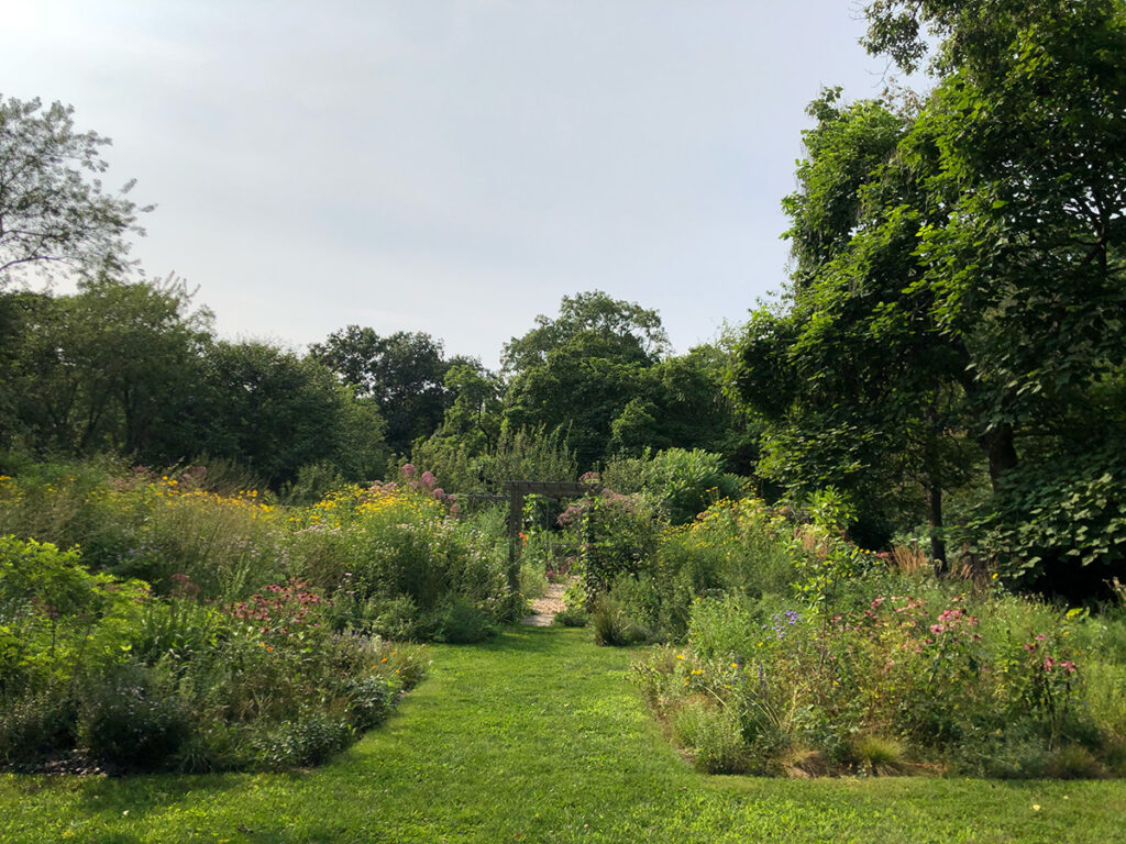 In her garden on Eastern Long Island, Edwina von Gal created geometric beds and filled them with an array of native plants that she lets grow freely with wild abundance.