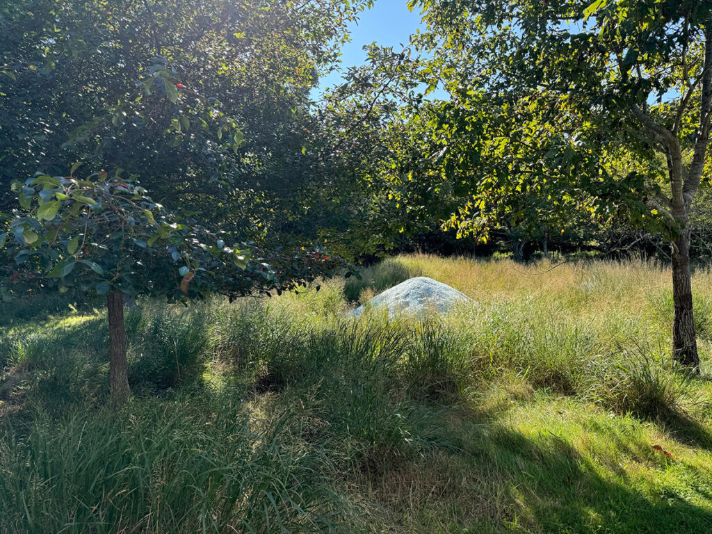 A Maya Lin sculpture in a grassy meadow.