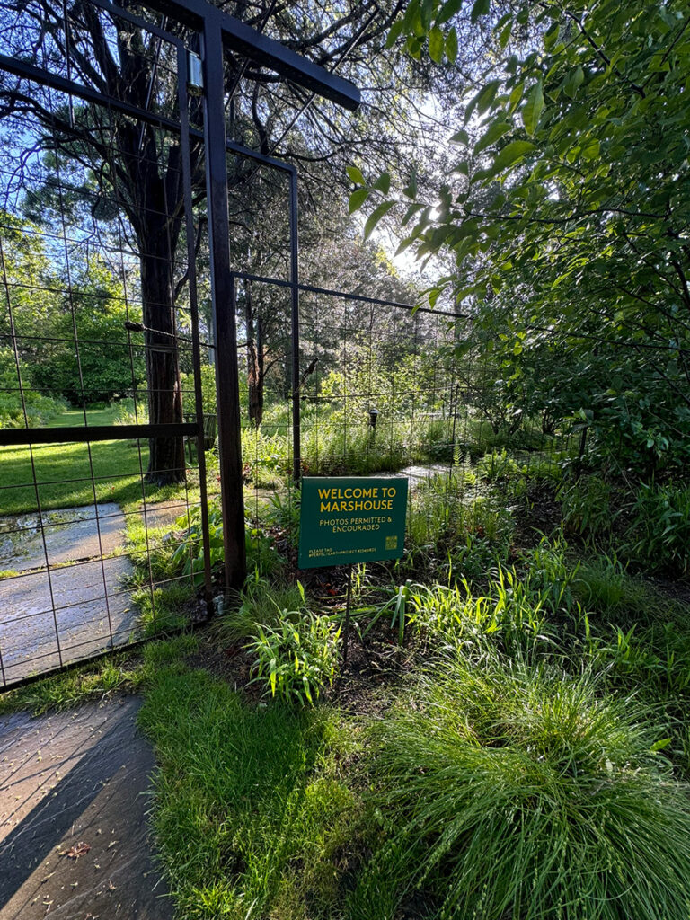 green native plants and a deer fence with a sign that says, "Welcome to Marshouse"