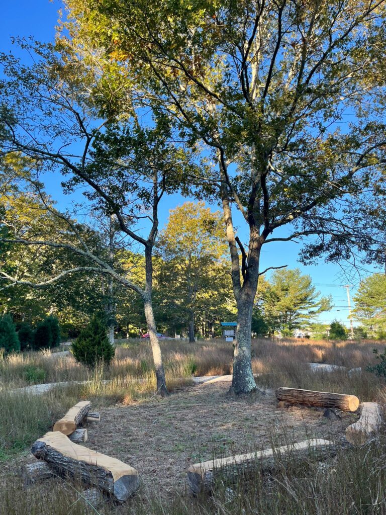 A new gathering place at the Georgica Pond Preserve.