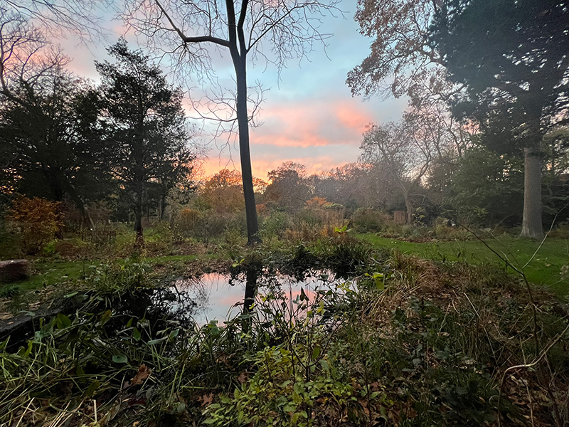 Winter pond at sunset.