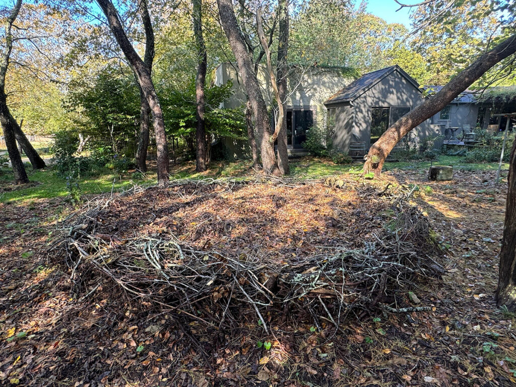 a leaf basket made from fallen branches filled with autumn leaves