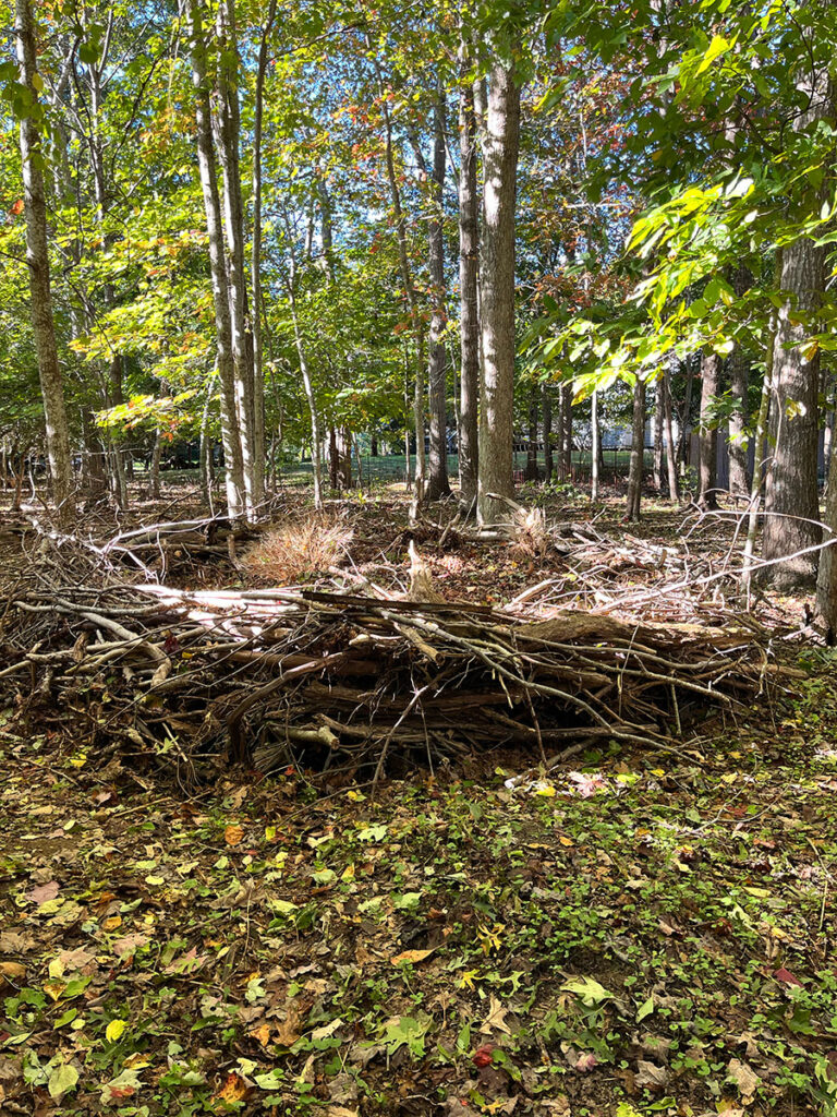 a leaf basket made from fallen branches ready to be filled with autumn leaves