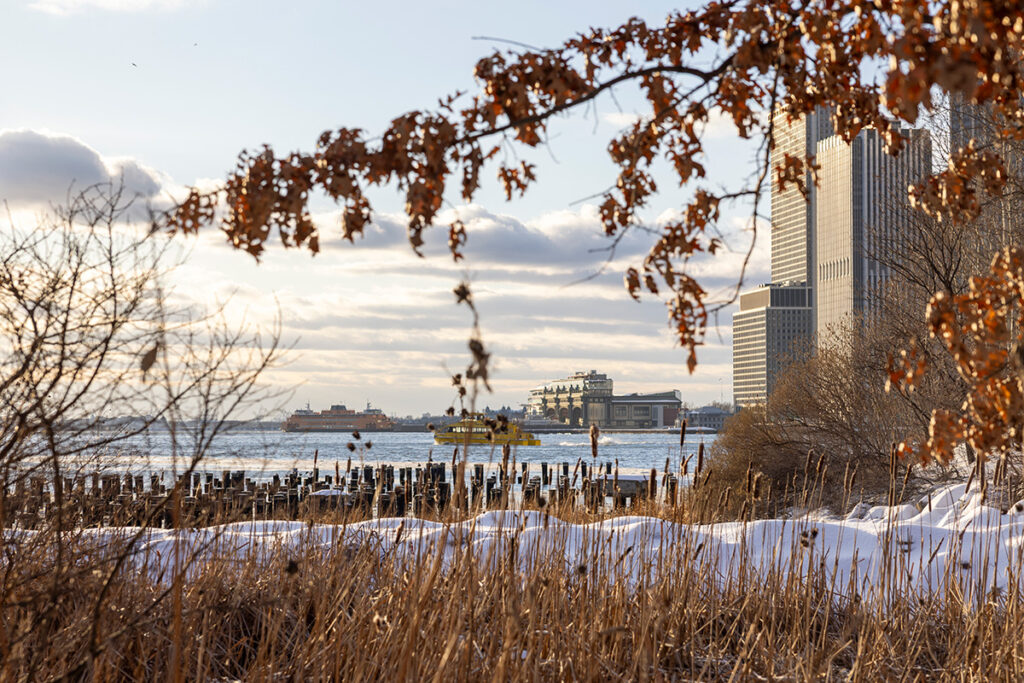 A winter meadow with a view of the harbor in Brooklyn Bridge Park