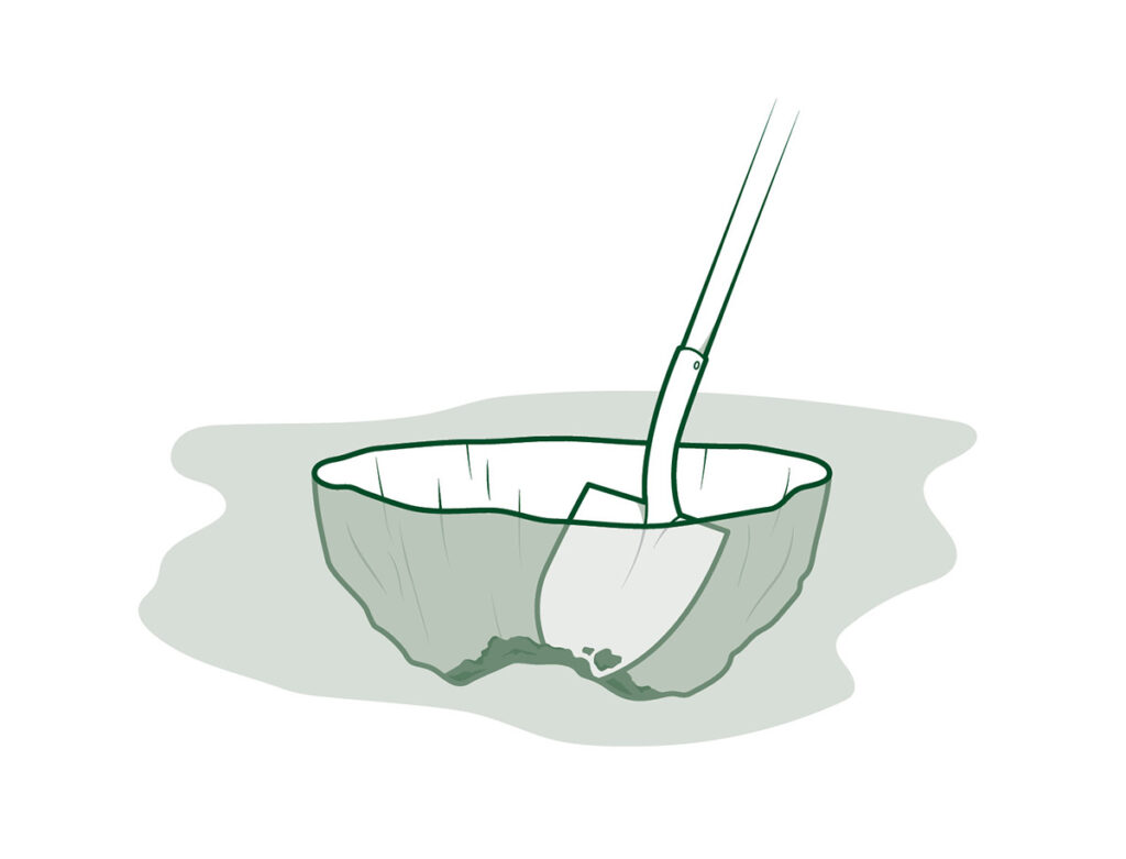 "how to plant a tree" illustration shows a shovel digging a hole to plant a tree