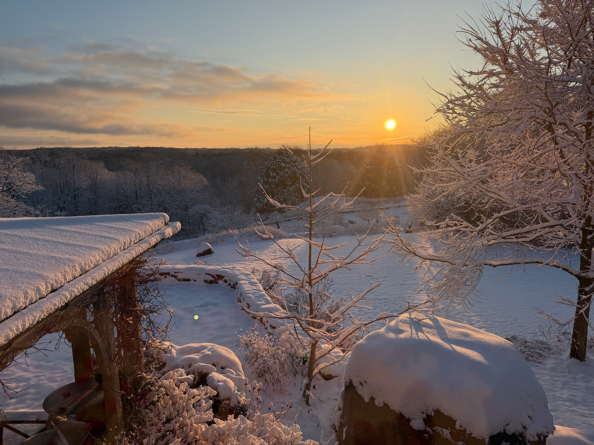 Ask the Expert: How to Tap Into Your ‘Mind of Winter’ 