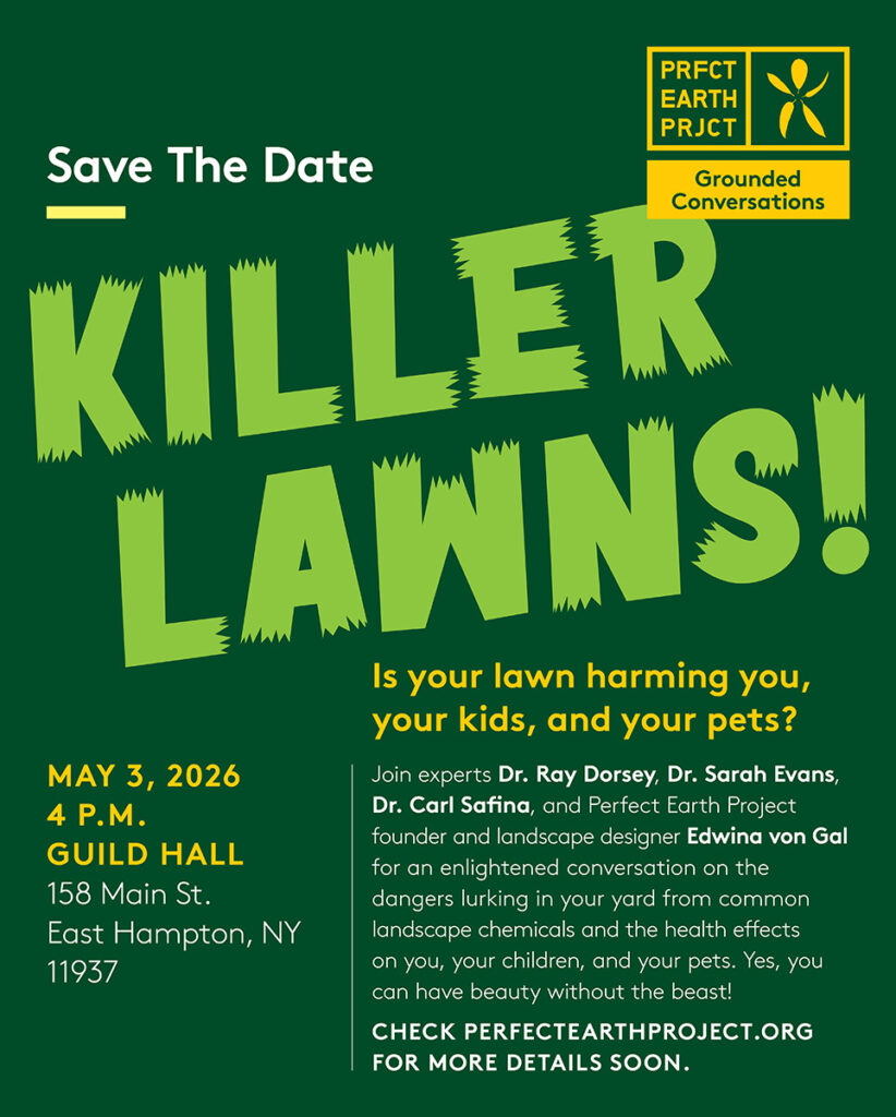 Save the date for Grounded Conversations: Killer Lawns!