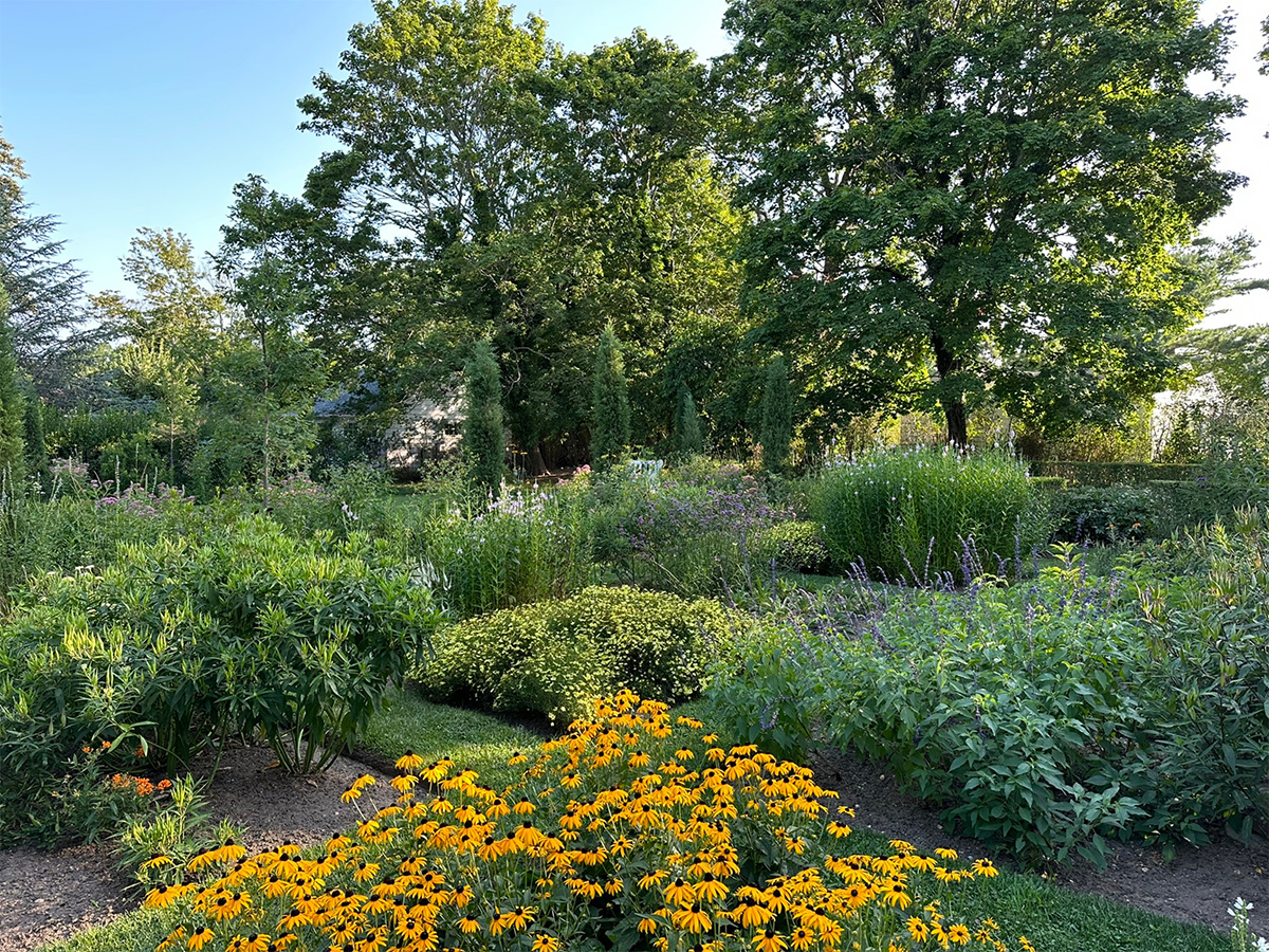An ecological garden with gold rudbeckia and other flowers.