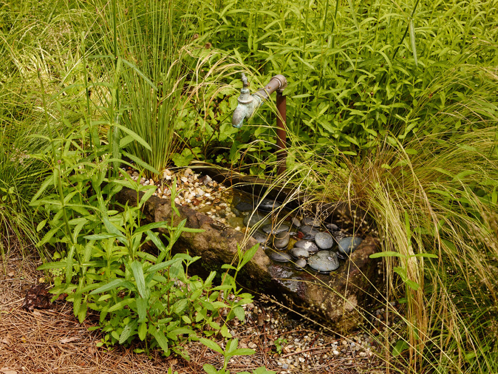Small bee beach with small rocks for perching